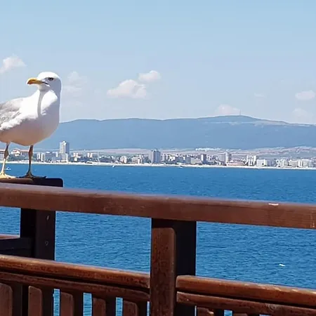 Elea Апарт-отель 4*